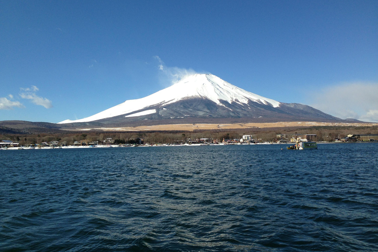 Shimizu, Shizuoka:Shore Excursion for Cruise Guests（Group）