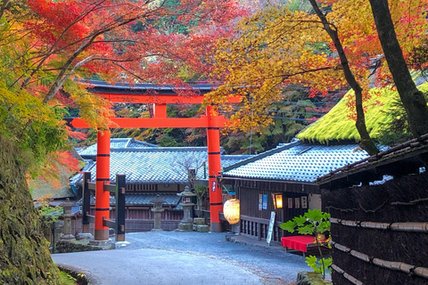 Kyoto: visite gastronomique à pied de la forêt de bambous d'Arashiyama