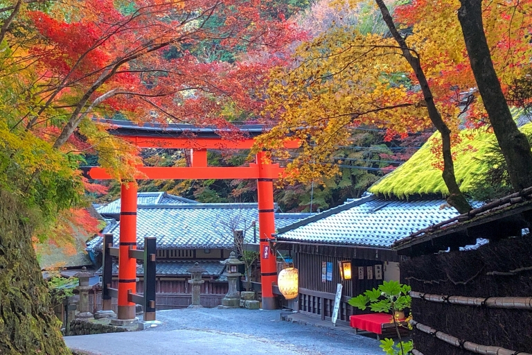 Kyoto: Kulinarischer Rundgang im Arashiyama Bambus-Wald
