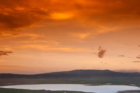 Arusha: 5-Day Great Migration Calving season Safari