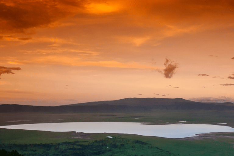 Arusha: 5-Day Great Migration Calving season Safari