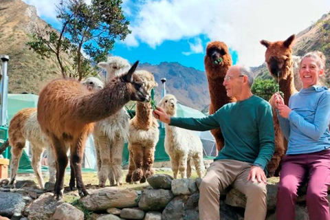 Cusco: Alpaca Therapy and Ancestral Art