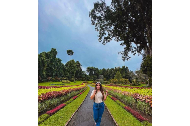 Tour particular de 2 dias a Sigiriya e Kandy com alojamento