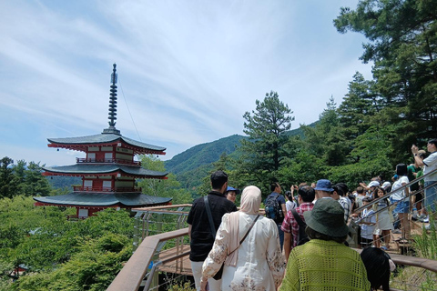 From Tokyo: Mt. Fuji Views Private Customize Itinerary Tour
