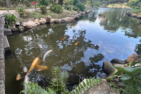 Hiroshima & Miyajima 6.5h Guided Tour – Dome, Park & Shrine