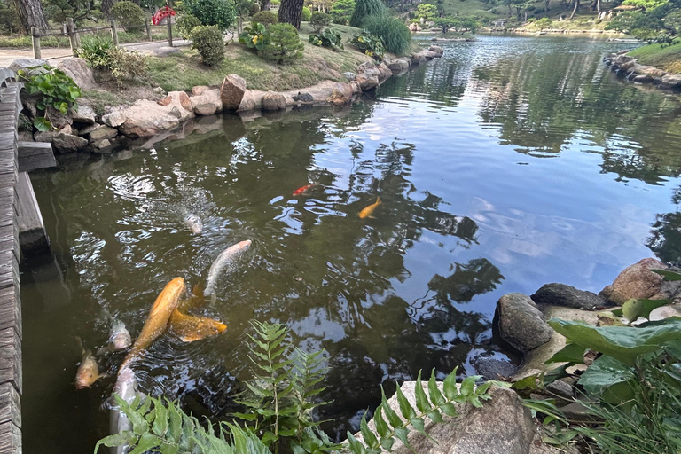 Hiroshima & Miyajima 6.5h Guided Tour – Dome, Park & Shrine