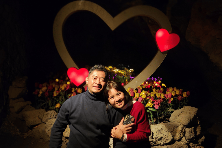 Desde la ciudad de Jeju: Excursión de un día en furgoneta por la floración de los cerezos del este de Jeju