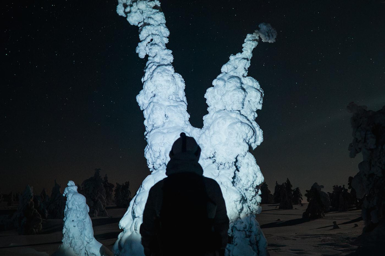 Rovaniemi: Nachtfotografie-Tour im Riisitunturi-Nationalpark