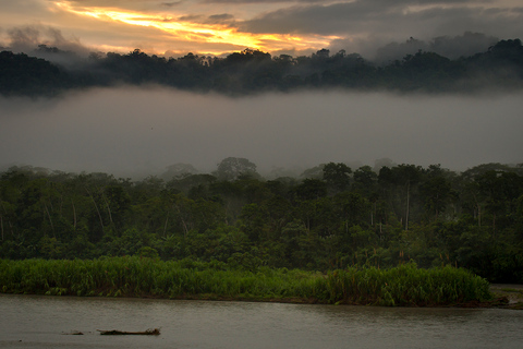 Cusco: Manu Learning Center 3 Day All-Inclusive Amazon Tour