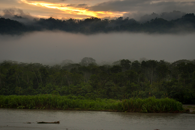 Cusco: Manu Learning Center 3 Day All-Inclusive Amazon Tour