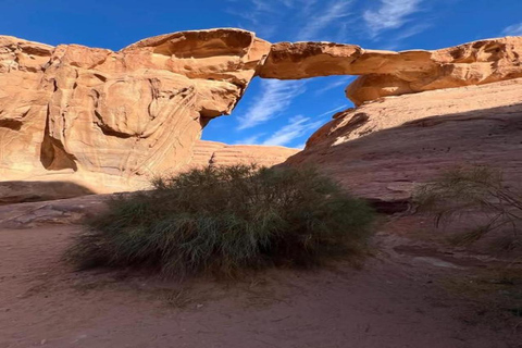 Wadi Rum: 6-Hour Jeep Tour with Bubble Tent Stay and 2 Meals