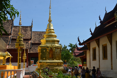 Chiang Mai : visite à pied des hauts lieux historiques et culturelsChiang Mai : Visite à pied des hauts lieux historiques et culturels