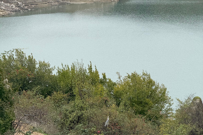 Tbilisi: Didgori Battlefield &amp; Dashbashi Canyon Tour