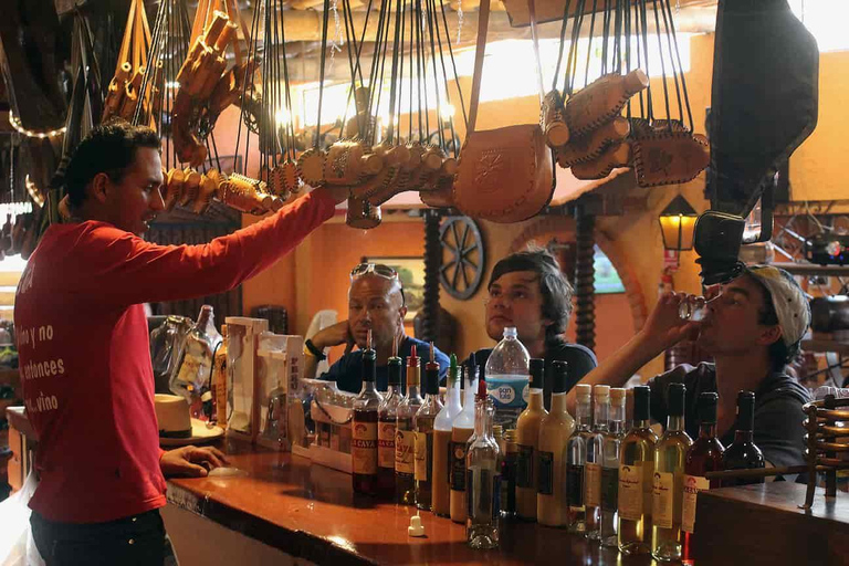 From Ica: Wine and Pisco Cellar Sightseeing Tour with Tastings and Transfers Premium Pisco Route (Afternoon)