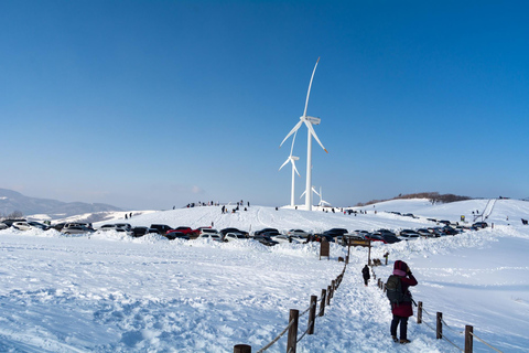 Funivia guidata Balwangsan e ranch DaegwallyeongFunivia guidata di Balwangsan e ranch Daegwallyeong