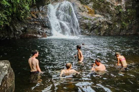 From Riu Hotel: Sinharaja Rain Forest Trek & Waterfall Swim
