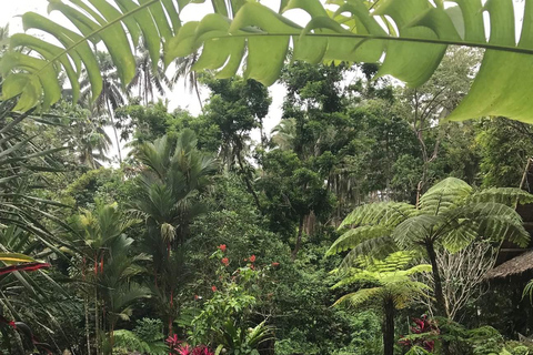 Dumaguete City Tour and Countryside Tour