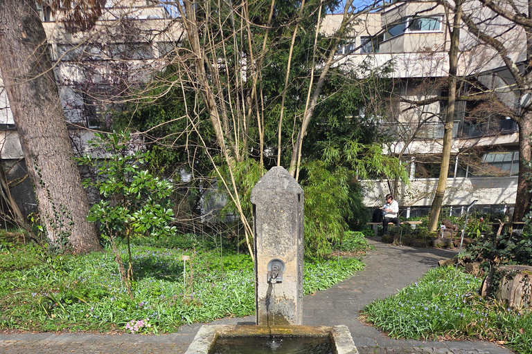 The Ultimate Basel Garden Tour