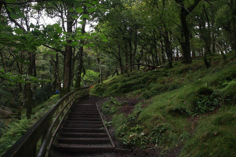 Dublin: Wild Wicklow Shore Tour- Glendalough & Guinness Lake