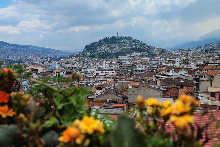 Quito Unveiled: Local Life & Language Exchange