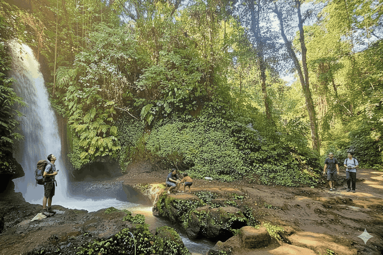 Ubud: Private Half-Day Tour Rice Terrace, Temple & Waterfall Private Half-Day Tour (With Entrance Tickets)