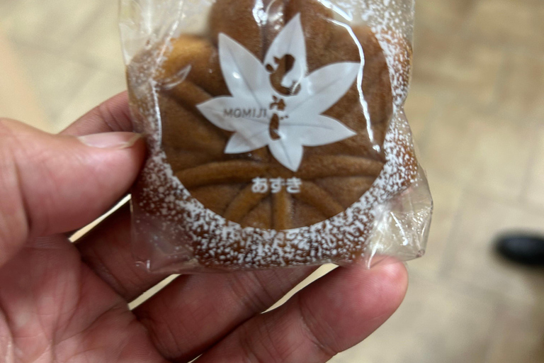 Hiroshima & Miyajima: 6.5-Hour Private Tour (Spanish Guide)