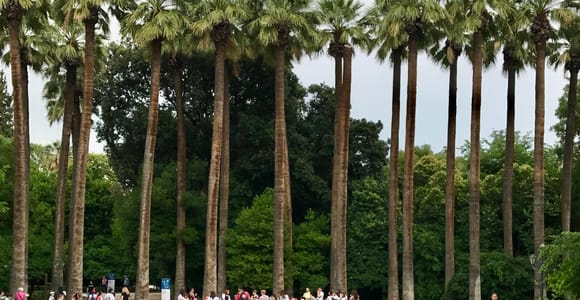Athens: City Highlights & the Acropolis Guided Walking Tour