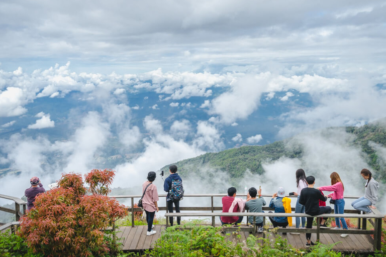 Chiang Mai: lo más destacado de Doi Inthanon (sin senderismo)Chiang Mai: Doi Inthanon Private Highlights (No Hiking)