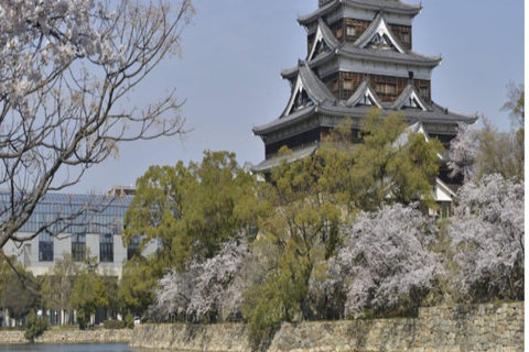 Hiroshima: Private Tour with Miyajima and Peace Park