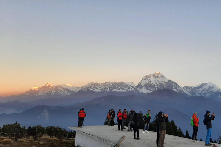 Vanuit Pokhara: 1 Nacht 2 Dagen Ghorepani Poon Hill Trek