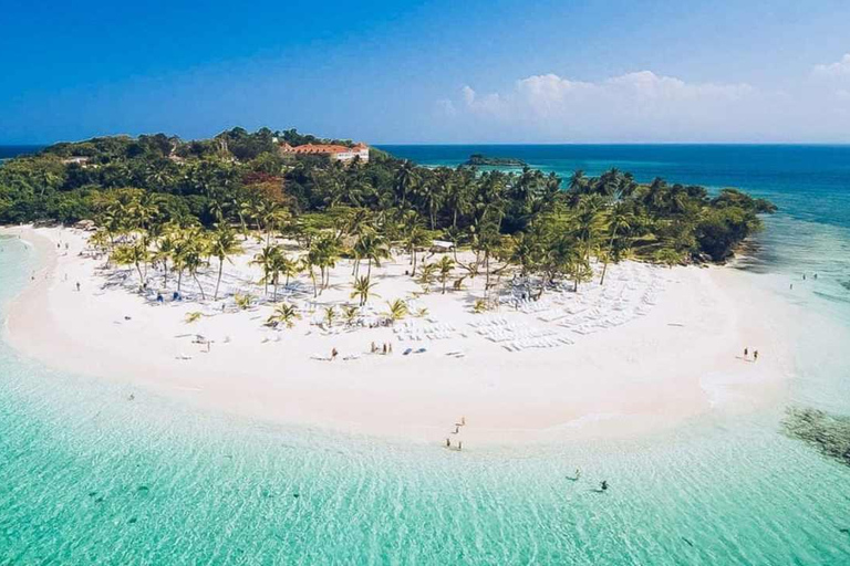 Punta Cana: Samaná Bay Whale Watching & Cayo Levantado