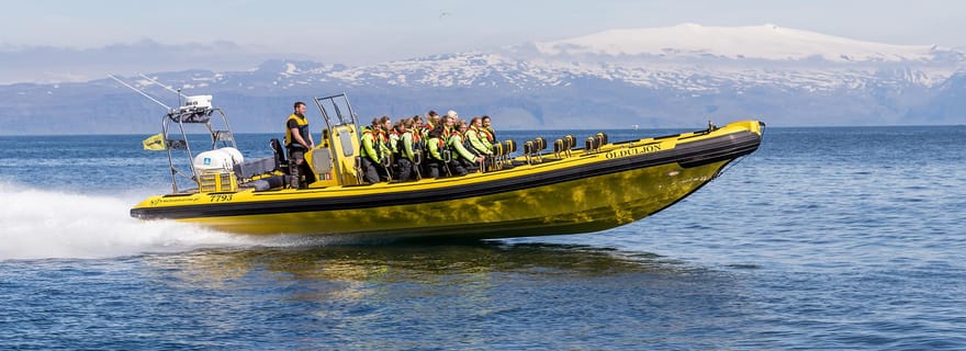 Vestmannaeyjar : 2 heures d'excursion en bateau pneumatique