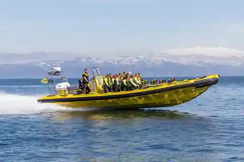 Vestmannaeyjar: 2 hour RIB boat Tour