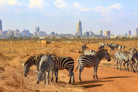 Parc national de Nairobi : visite d&#039;une demi-journée en groupe avec prise en charge