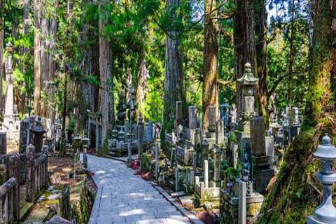 Wakayama: Private Tour to Nachi Falls & Mount Koya