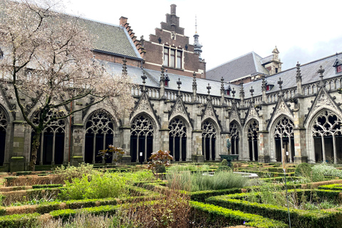 Amsterdam: Utrecht Daytrip with Canal Cruise & Curated Stops
