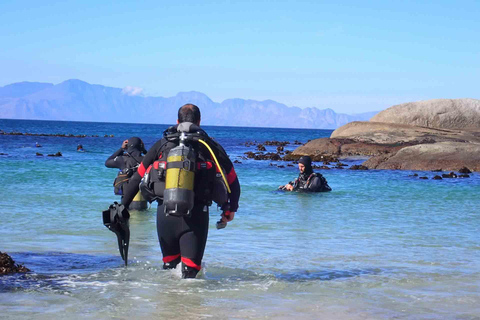 Cape Town: Discover Scuba Diving - 1 day experience