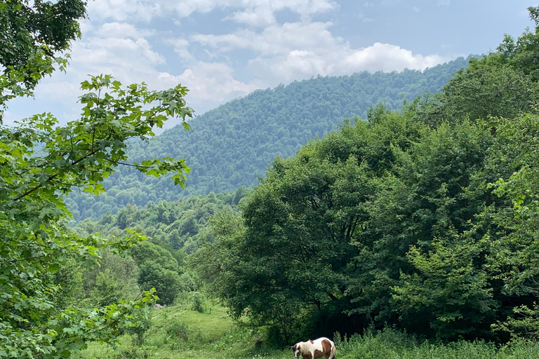 Hiking in Dilijan National Park: From Parz Lake to Goshavank