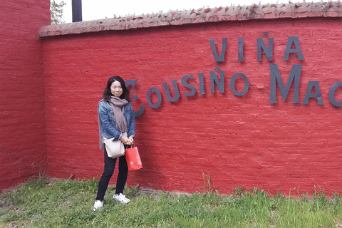 Santiago: Cousiño Macul Vineyard Premium Tasting Tour