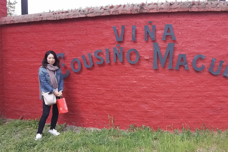 Santiago: Cousiño Macul Vineyard Premium Tasting Tour