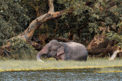 Sri Lanka : Circuit de 12 jours avec découverte du riche patrimoine