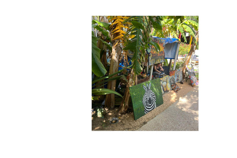 Dakar - Gorée Island: Guided visit of culture, history, and art with an artist
