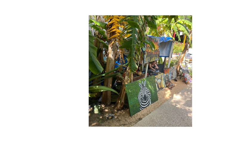 Dakar - Gorée Island: Guided visit of culture, history, and art with an artist