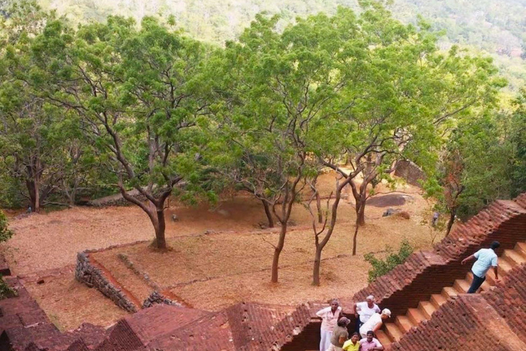 Sigiriya Rock, Elephant Safari & Ayurvedic Massage Day Trip