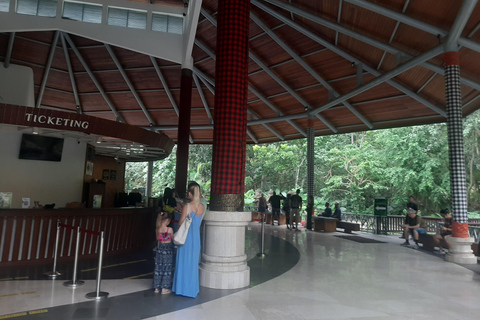 Ubud: Foresta di scimmie, terrazze di riso e cascateUbud: Foresta di scimmie, terrazza di riso e cascata