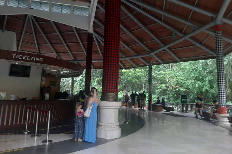 Ubud: Foresta di scimmie, terrazze di riso e cascateUbud: Foresta di scimmie, terrazza di riso e cascata