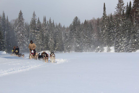 Mont-Tremblant: Dogsledding Nordic Adventure