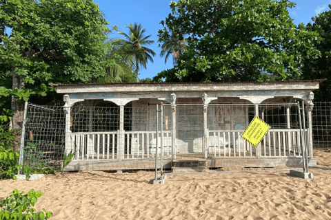 From Pointe-à-Pitre: Death in Paradise & Botanical Garden