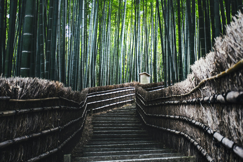 Kyoto: Private Full-Day Tour with driver-guide Full Day Private Tour in Kyoto with Private Transportation