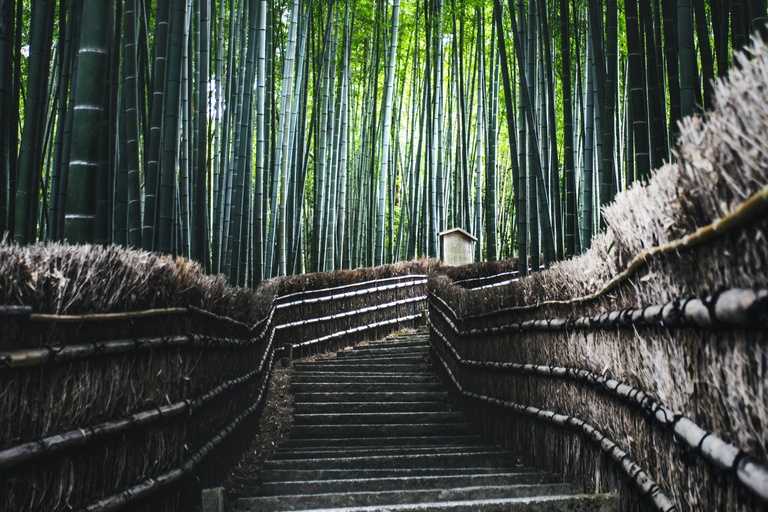 Kyoto: Private Full-Day Tour with driver-guide Full Day Private Tour in Kyoto with Private Transportation